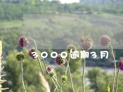 3000逾期3月 3000逾期3月