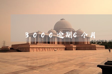 3000逾期6个月