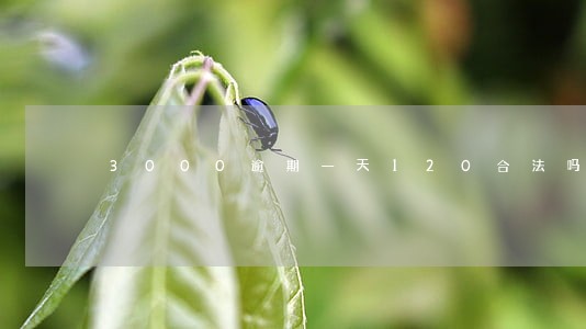 3000逾期一天120合法吗