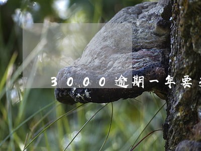 3000逾期一年要多少逾期费 3000逾期一年要多少逾期费