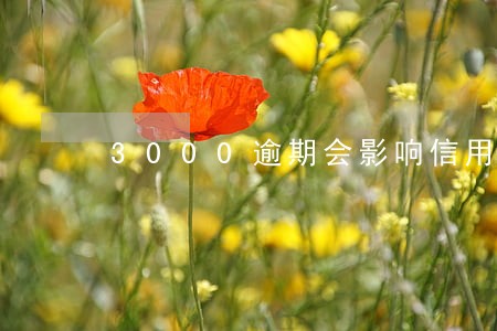 3000逾期会影响信用吗 3000逾期会影响信用吗