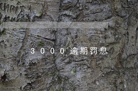 3000逾期罚息 3000逾期罚息