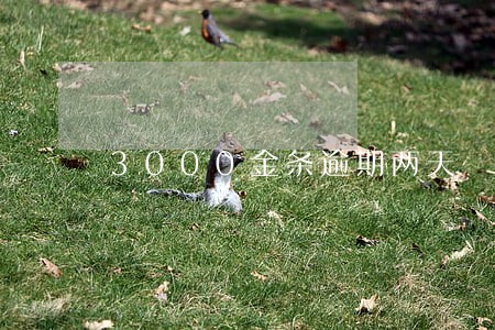 3000金条逾期两天