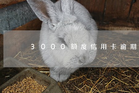 3000额度信用卡逾期三个月