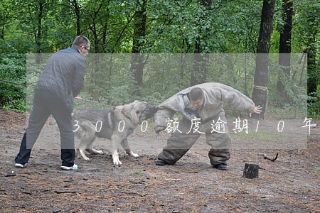 3000额度逾期10年