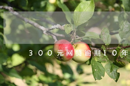 300元网贷逾期10年 300元网贷逾期10年
