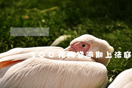 300元网贷逾期上法庭 300元网贷逾期上法庭