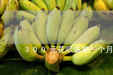 300元花呗逾期一个月还多少 300元花呗逾期一个月还多少