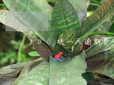 300块一天逾期费多少 300块一天逾期费多少