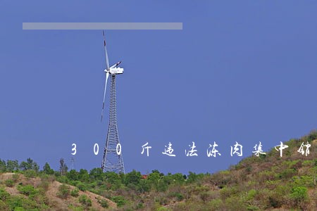 300斤违法冻肉集中销毁 300斤违法冻肉集中销毁
