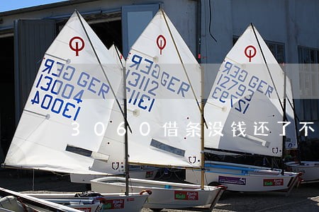 3060借条没钱还了不会逾期 3060借条没钱还了不会逾期