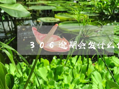 306逾期会发什么信息 306逾期会发什么信息
