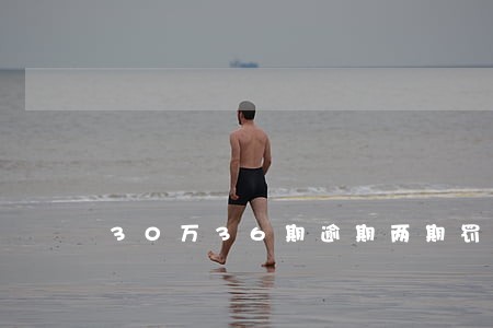30万36期逾期两期罚款多少