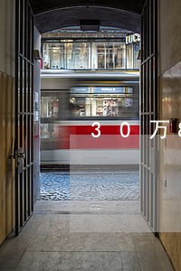 30万8张信用卡逾期半年 30万8张信用卡逾期半年