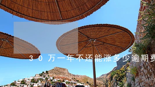30万一年不还能涨多少逾期费