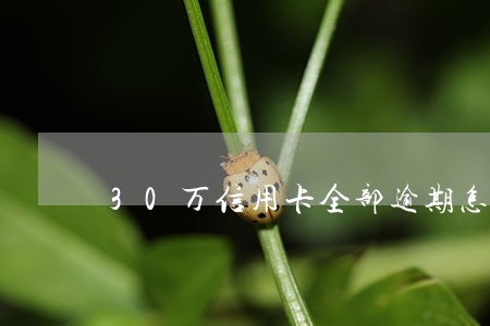 30万信用卡全部逾期怎么办