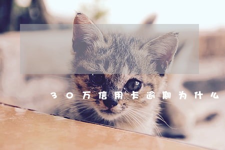 30万信用卡逾期为什么不抓 30万信用卡逾期为什么不抓