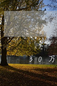 30万信用贷逾期交多少 30万信用贷逾期交多少