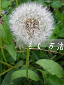 30万消费贷逾期一个月会怎样