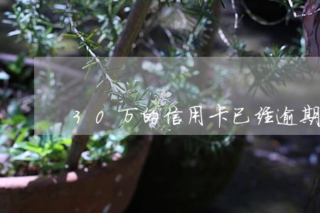 30万的信用卡已经逾期