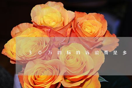30万的标的诉讼费是多少 30万的标的诉讼费是多少