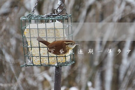 30万贷款逾期一年多少罚息 30万贷款逾期一年多少罚息