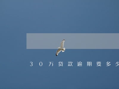 30万贷款逾期要多少滞纳金