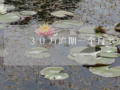 30万逾期一个月多少钱