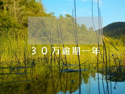 30万逾期一年