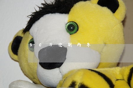 30万逾期两年