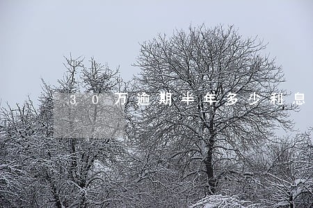 30万逾期半年多少利息是多少
