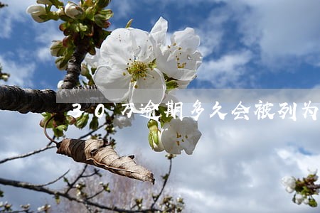 30万逾期多久会被列为失信人员