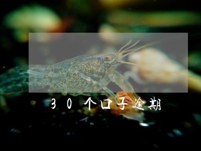 30个口子逾期