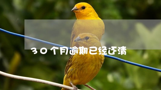 30个月逾期已经还清