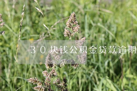 30块钱公积金贷款逾期 30块钱公积金贷款逾期