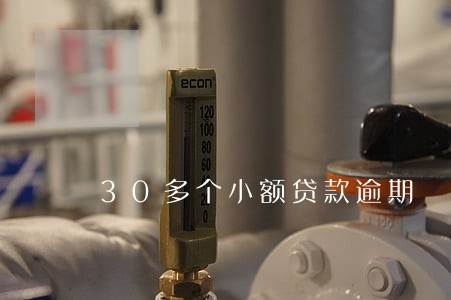 30多个小额贷款逾期 30多个小额贷款逾期