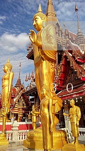 30多家公司逾期 30多家公司逾期