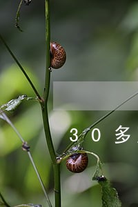 30多岁男人离婚带着两个女儿 30多岁男人离婚带着两个女儿