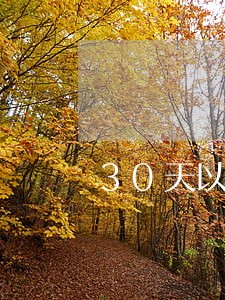 30天以上预收货款报告逾期 30天以上预收货款报告逾期