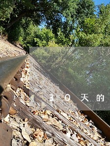 30天的逾期对贷款吗 30天的逾期对贷款吗