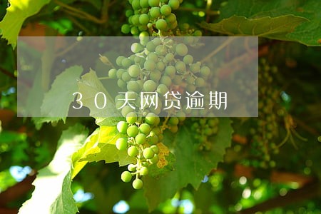 30天网贷逾期 30天网贷逾期