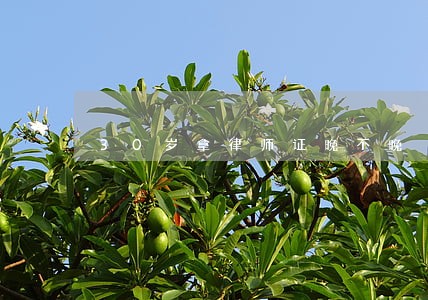 30岁拿律师证晚不晚 30岁拿律师证晚不晚