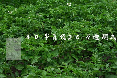 30岁负债20万逾期太绝望 30岁负债20万逾期太绝望
