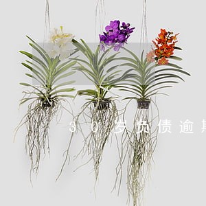 30岁负债逾期 30岁负债逾期