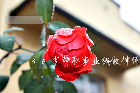 30岁辞职事业编做律师 30岁辞职事业编做律师