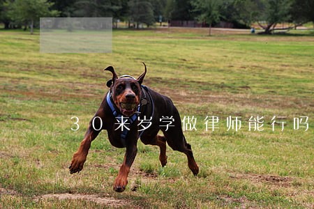 30来岁学做律师能行吗 30来岁学做律师能行吗
