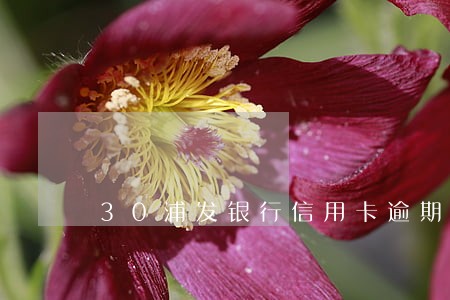 30浦发银行信用卡逾期天 30浦发银行信用卡逾期天