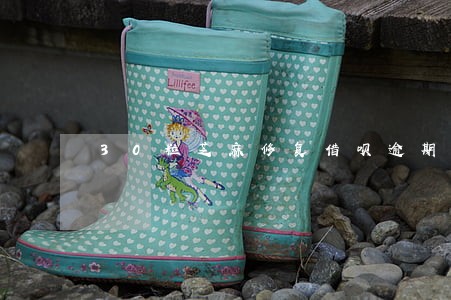 30粒芝麻修复借呗逾期