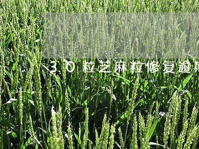 30粒芝麻粒修复逾期记录 30粒芝麻粒修复逾期记录
