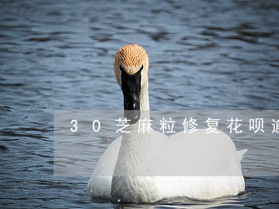30芝麻粒修复花呗逾期 30芝麻粒修复花呗逾期